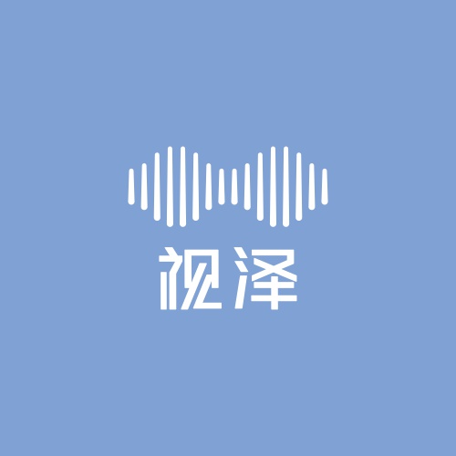 宁夏视泽集团公司logo设计，深圳老谋子logo设计案例，logo设计方案